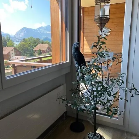 Mit 55 M Und Toller Aussicht